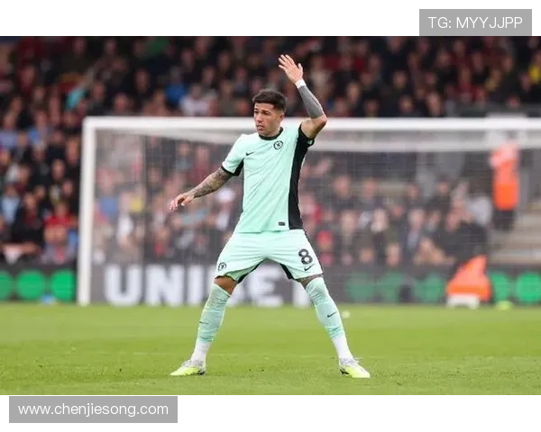 恩佐：球场条件限制我们展现风格